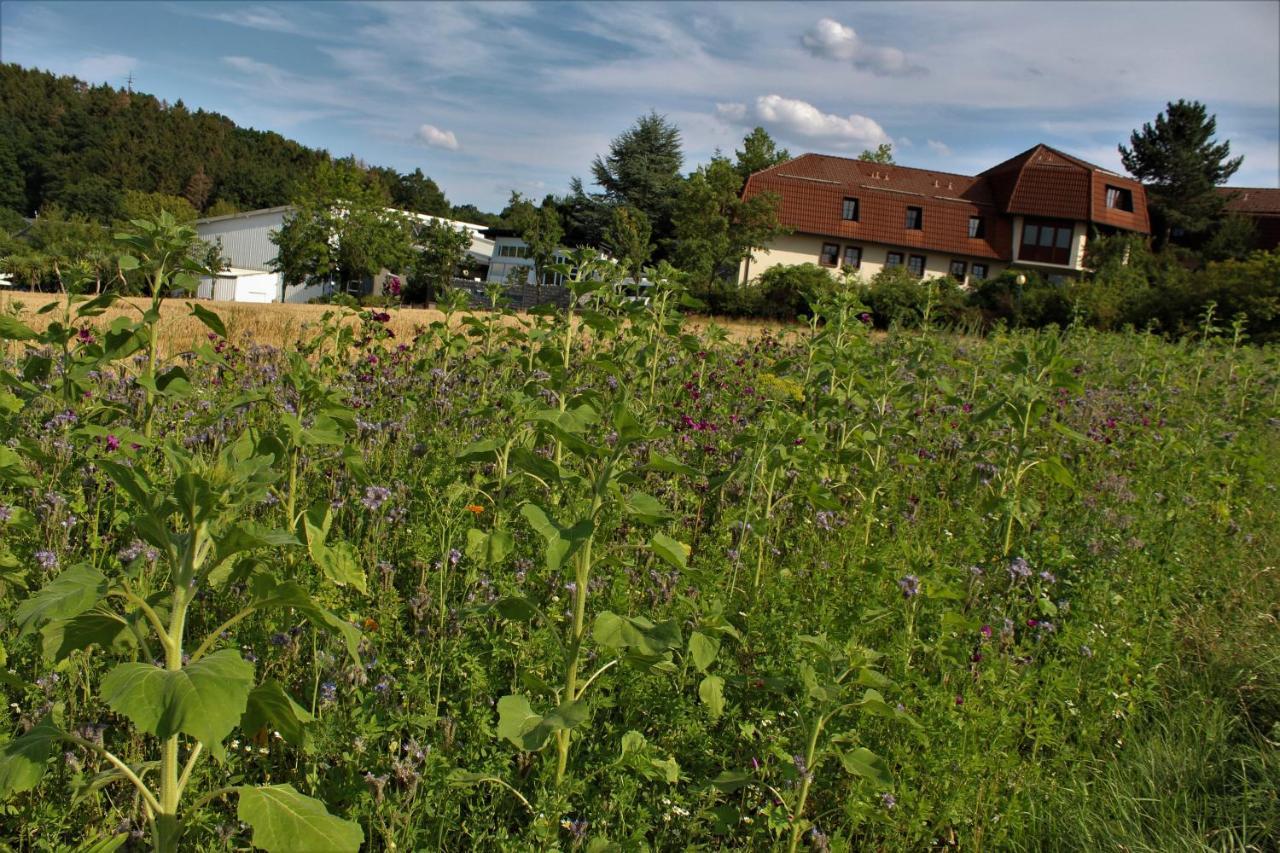 Am Rothenberg Uslar